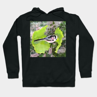 Long-tailed Garden Bird Hoodie